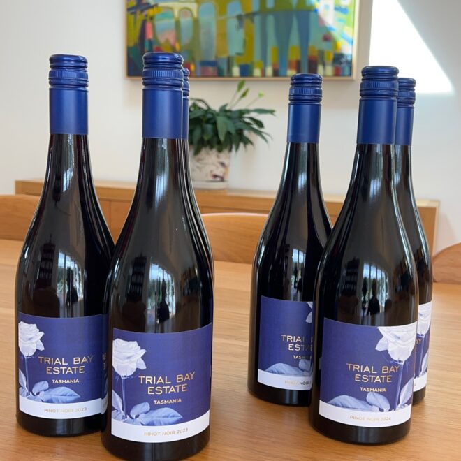Trial Bay Estate 2024/2023 Pinot Noir Mixed Vintage (Half Dozen)