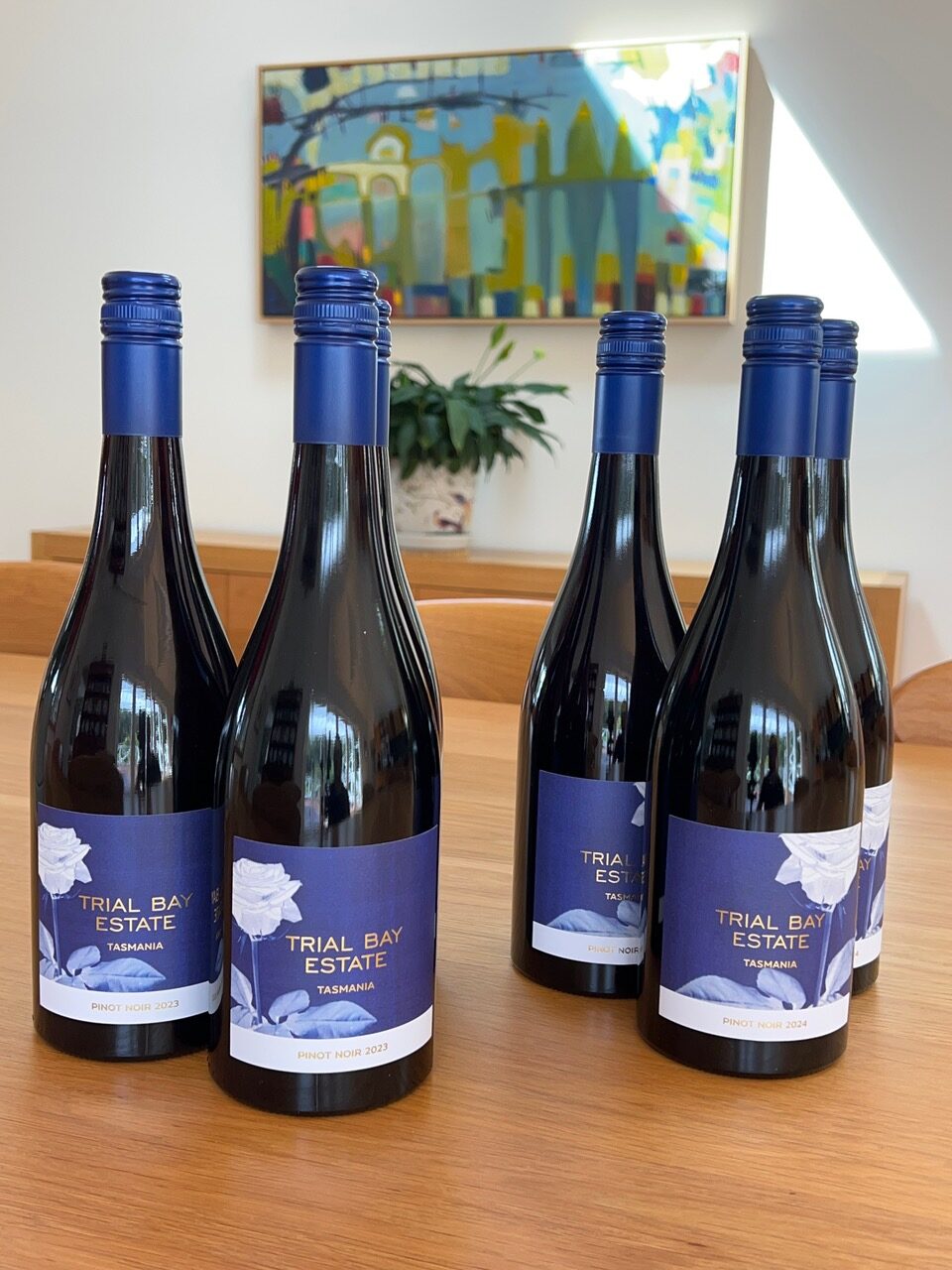 Trial Bay Estate 2024/2023 Pinot Noir Mixed Vintage (Half Dozen)